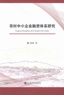 包邮 投资理财书籍 农村中小企业融资体系研究 书店 畅想畅销书 陈啸 正版