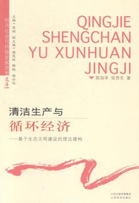 正版清洁生产与循环经济:基于生态文明建设的理论建构陈润羊书店经济书籍 畅想畅销书