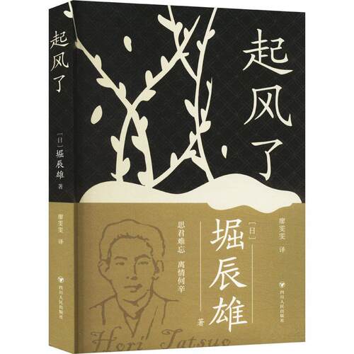 正版起风了堀辰雄书店小说书籍 畅想畅销书