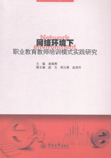 袁南辉 畅想畅销书 网络环境下职业教育教师培训模式 正版 实践研究 教育书籍 包邮 书店