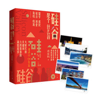 正版包邮  硅谷是个什么谷(大时代的惊涛骇浪，小人物的命运抉择。百万读者热议，奔腾年代的一本好书)