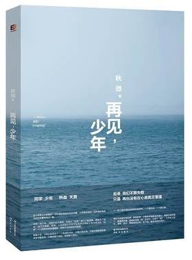 正版包邮 再见，少年（秋微小说，预订可得作者亲笔签名本）秋微书店小说书籍 畅想畅销书