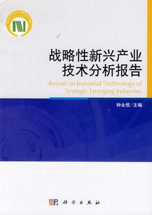 正常发货 正版包邮 战略性新兴产业技术分析报告 钟永恒 书店 战略管理书籍 畅想畅销书
