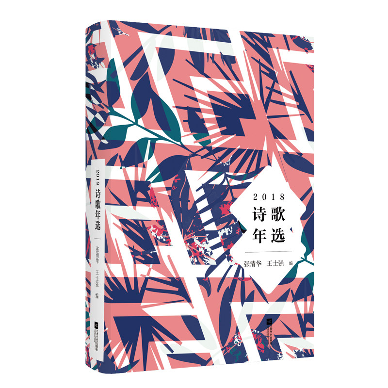 正版包邮 2018诗歌年选 张清华 书店 中国现当代诗歌书籍 畅想畅销书
