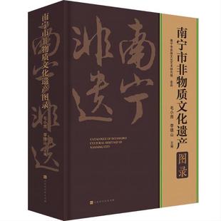 南宁市非物质文化遗产图录毛小雨书店文化书籍 正版 畅想畅销书