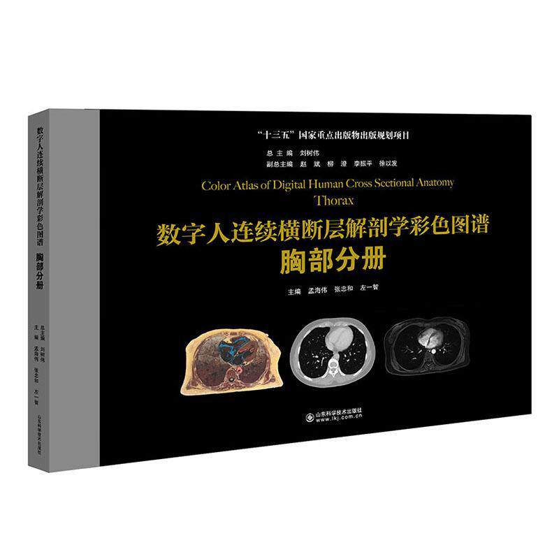 数字人连续横断层解剖学彩色图谱胸部分册CTMRI解剖结构中英文对照胸部血管心腔结构肺内管道和肺段及脊柱区结构进行详细追踪观