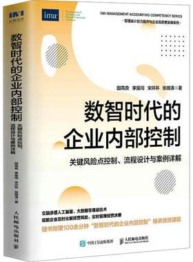 正版 数智时代的企业内部控制 关键风险点控制 流程设计与案例详解 融合大数据人工智能等信息技术 管理会计内控人员案头书籍