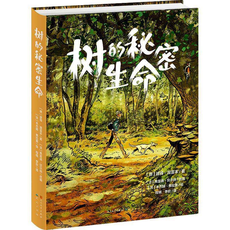 树的秘密生命彼得·渥雷本艺术书籍