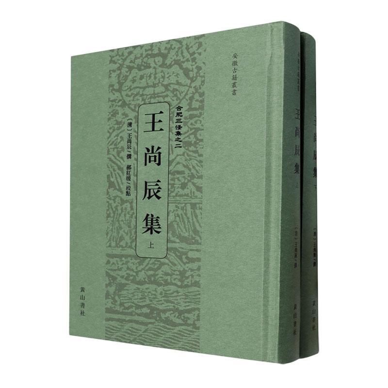 正版合肥三怪集-王尚辰集(上下)(精)王尚辰书店文学书籍 畅想畅销书
