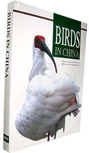 包邮 书店 CHINA 郑光美 动物学书籍 正版 畅想畅销书 BIRDS