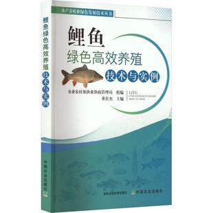 正版鲤鱼绿色养殖技术与实例董在杰书店农业、林业书籍 畅想畅销书