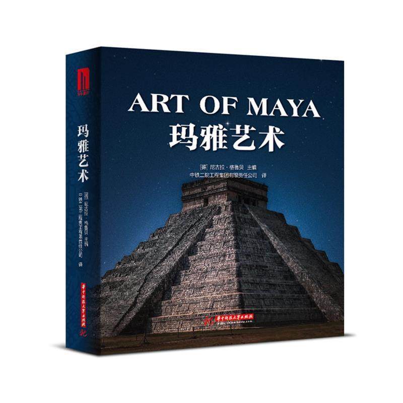 建筑雕塑与绘画艺术 西方艺术史书 古代艺术鉴赏收藏艺术书籍 华中