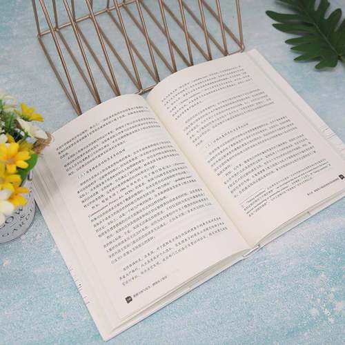 数据主权与：跨境电子取证梁坤法律书籍