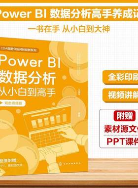 Power BI数据分析从小白到高手 数据分析工具指南 Power BI入门手册 数据集成与处理 数据分析表达式 视觉对象开发 数据分析师手册