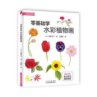 正版包邮 零基础学水彩植物画 面向初学者 高桥京子 美术绘画轻松掌握风景花草彩色铅笔水彩绘画技法颜料画笔调色构图技巧书籍