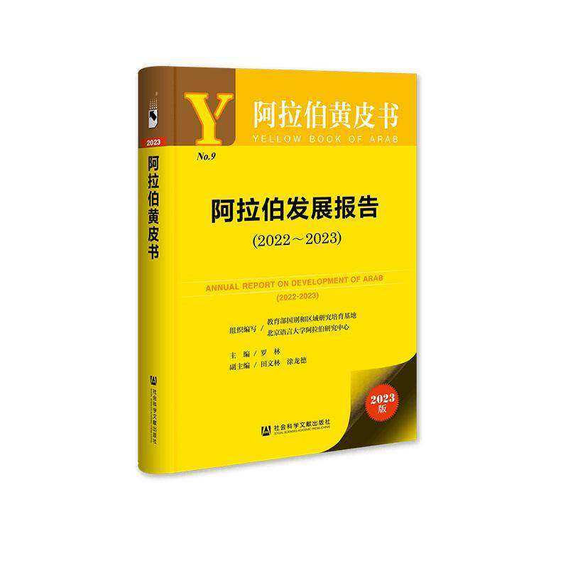 阿拉伯发展报告:2022-2023:2022-2023罗林经济书籍