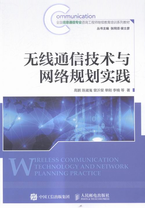 正版包邮 无线通信技术与网络规划实践 高鹏 书店 电子通信书籍 畅想畅销书