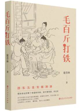 正版包邮 毛百斤打铁 甯普林 小说书籍9787550043817百花洲文艺出版社