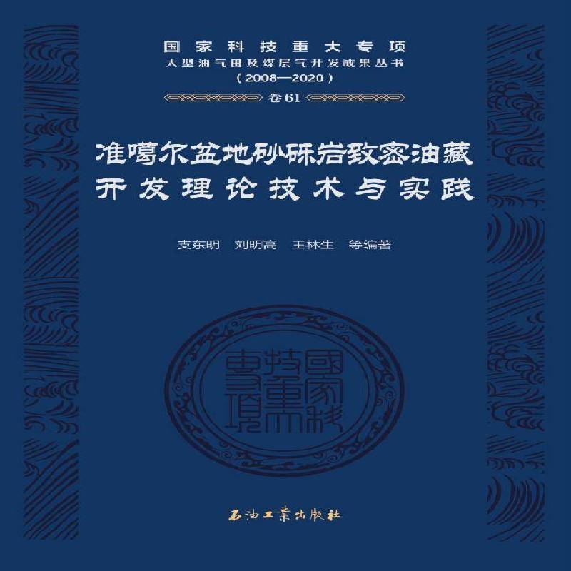 准噶尔盆地砂砾岩致密油藏开技术与实践支东明工业技术书籍