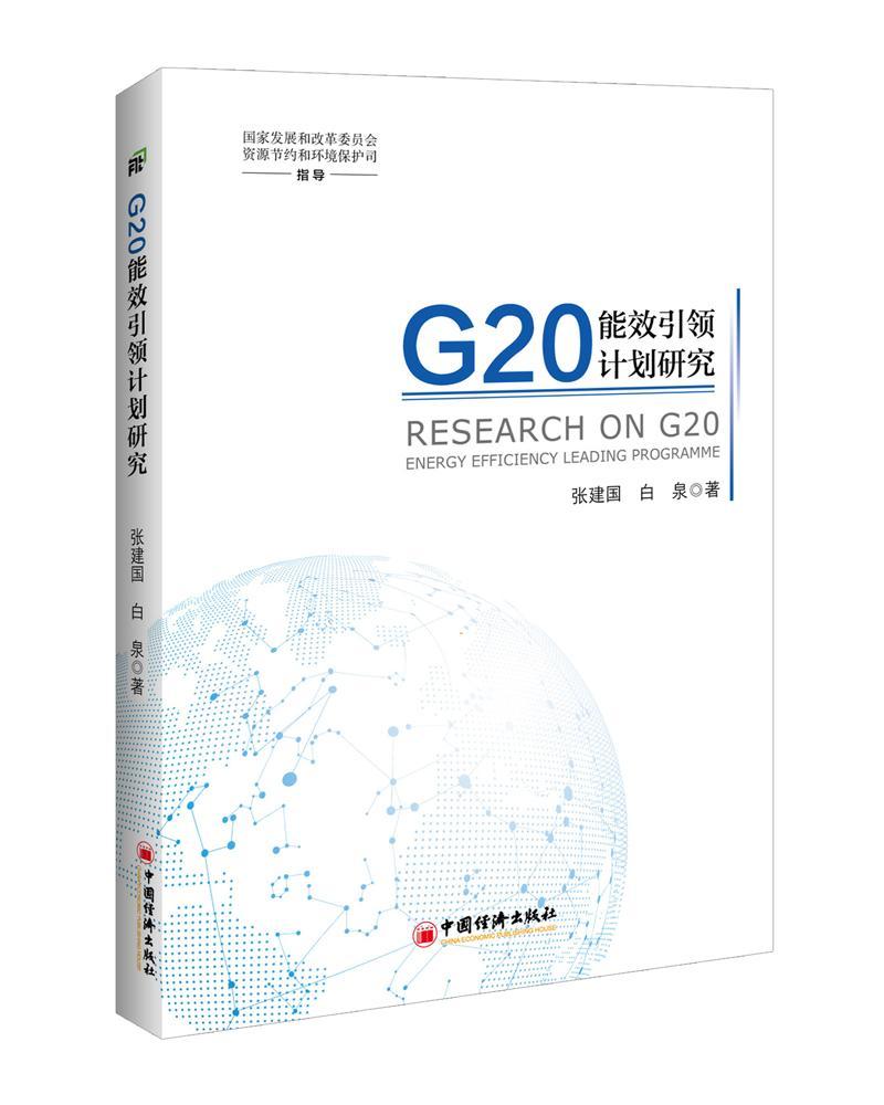 正版包邮 G20能效计划研究张建国书店经济书籍 畅想畅销书