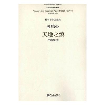 正版天地之滇:交响组曲杜鸣心书店艺术书籍 畅想畅销书