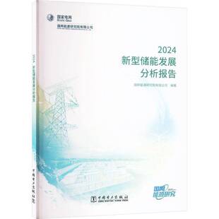 新型储能发展分析报告:2024国网能源研究院工业技术书籍