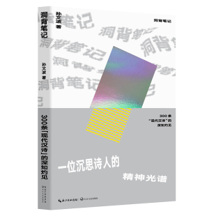 正版包邮 洞背笔记：300条“现代汉诗”的深知灼见 孙文波 书店 古诗词研究书籍 畅想畅销书