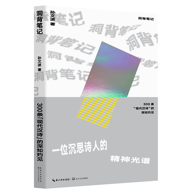 正版包邮 洞背笔记：300条“现代汉诗”的深知灼见 孙文波 书店 古诗词研究书籍 畅想畅销书