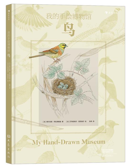 正版我的手绘博物馆:鸟维尔吉妮·阿拉德基迪书店辞典与工具书书籍 畅想畅销书