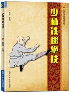 正版包邮 少林铁腿绝技 赵超 书店 拳术书籍 畅想畅销书