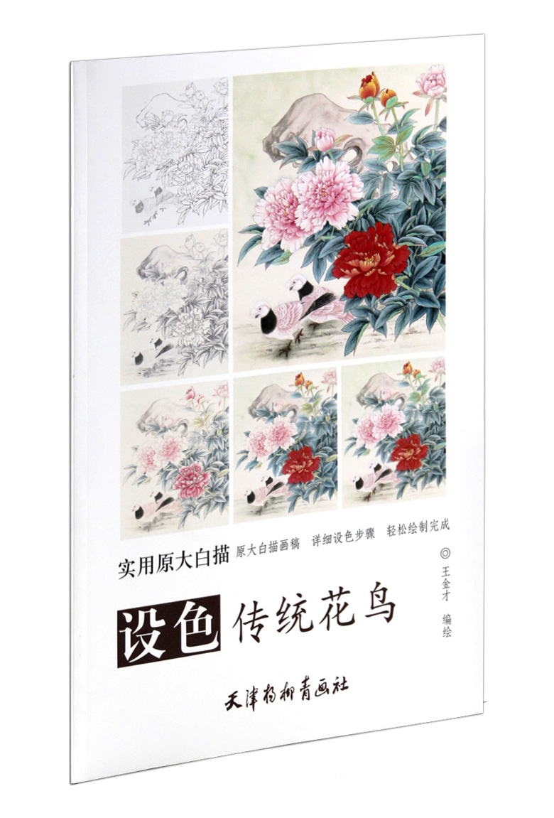 邮设色传统花鸟 实用原大白描 金才编绘 天津杨柳青画社 工笔花鸟画线描稿 详细设色步骤 临摹范本 国画技法 正版