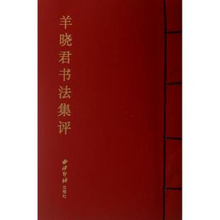 正版羊晓君书法集评方爱龙书店艺术书籍 畅想畅销书