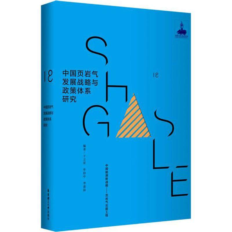 正版包邮 中国页岩气发展战略与政策体系研究 于立宏 石油、天然气工业书籍 畅想畅销书