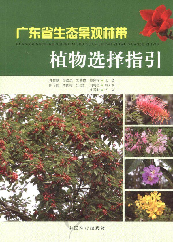 正版包邮 广东省生态景观林带植物选择指引 肖智慧 书店 植物景观、绿化设计书籍 畅想畅销书