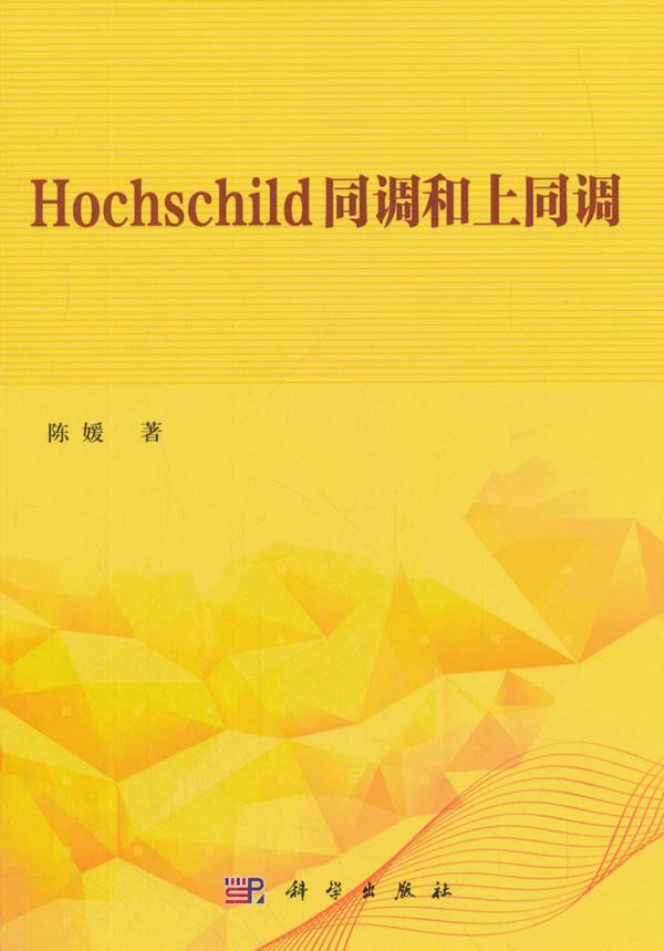 正版包邮 Hochschild同调和上同调陈媛书店自然科学书籍 畅想畅销书