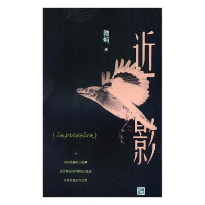 正版包邮 近影 陆屿 书店 中国当代小说书籍