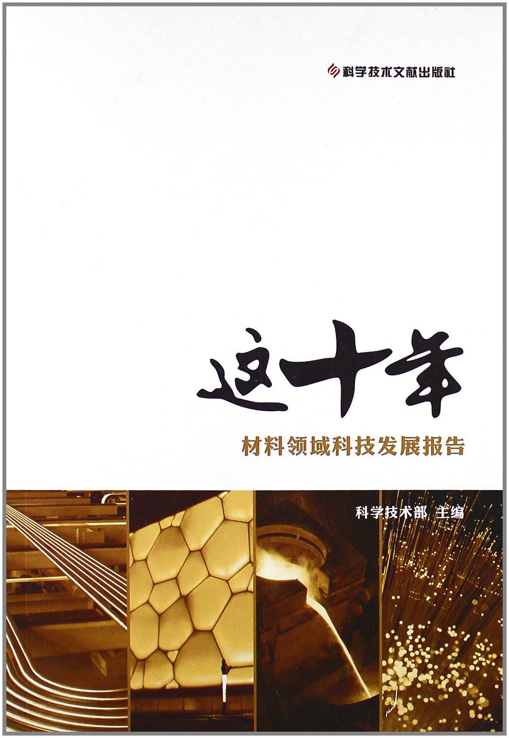 正版包邮 这十年：材料领域科技发展报告 科学技术部 书店 工程材料学书籍 畅想畅销书