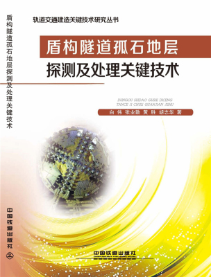 正版包邮 盾构隧道孤石地层探测及处理关键技术 白伟 书店 市政工程书籍 畅想畅销书