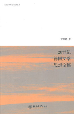 正版包邮 20世纪德国文学思想论稿 方维规 书店 文学理论基本问题书籍 畅想畅销书