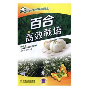 正版包邮 百合栽培 马永吉张宁 书店 园艺书籍 畅想畅销书