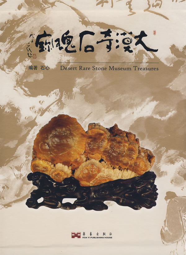 正版包邮 大漠奇石瑰宝 石心 书店 杂项书籍 书 畅想畅销书
