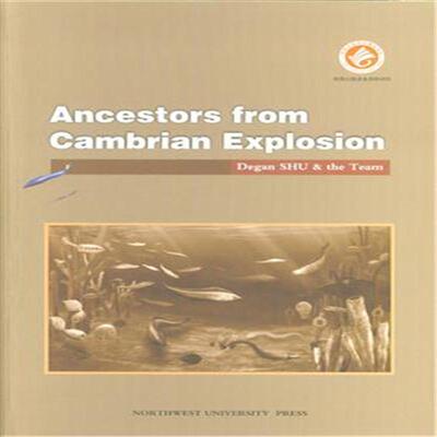 正版包邮 Ancestors from Cambrian Explosion-寒武大爆发的人类远祖 本书委会 书店 生物科学理论与方法书籍 畅想畅销书