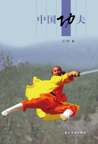 正版包邮 中国功夫 王广西 书店 武术气功书籍 畅想畅销书