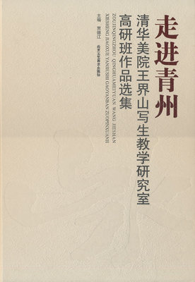 正版包邮 走进青州.清华美院王界山写生教学研究室高研班作品选集 书店 绘画理论书籍 畅想畅销书