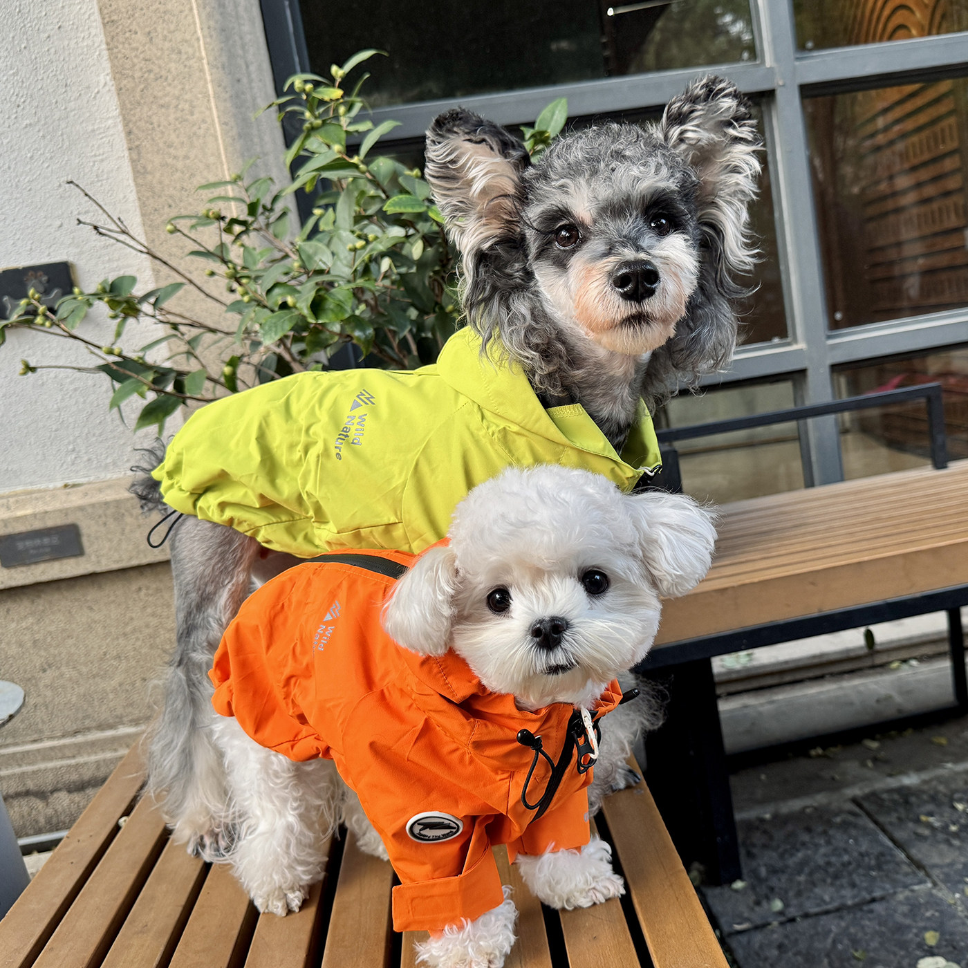 趣派正品狗狗衣服四季潮酷防风防水防尘两脚冲锋衣泰迪比熊雪纳瑞