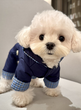 趣派cheepet新款宠物小狗狗冬装四脚棉服雪纳瑞比熊泰迪过年衣服