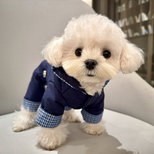 趣派cheepet时尚宠物小狗狗冬装四脚棉服雪纳瑞比熊泰迪过年衣服