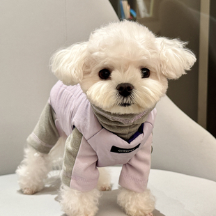 趣派狗狗衣服四脚打底连帽保暖撞色双面马甲泰迪比熊雪纳瑞西高地