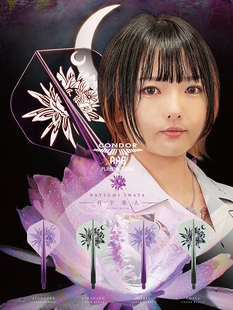TriNiDAD Condor AXE 岩田夏海 双色神鹰一体加硬印花飞镖翼 镖叶