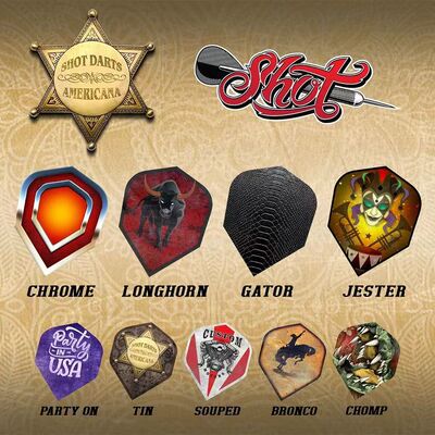 shotPET耐用专业比赛飞镖翼